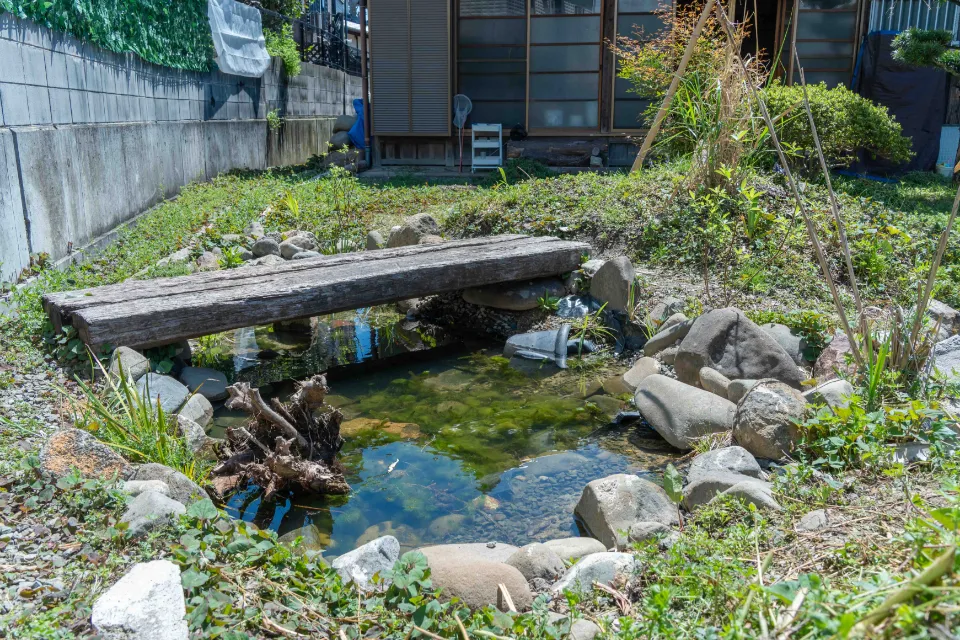 生き物と触れ合える池